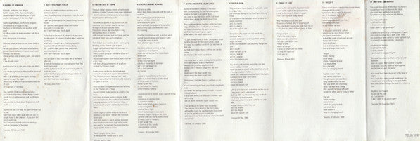 Bruce Cockburn : Big Circumstance (Cass, Album)