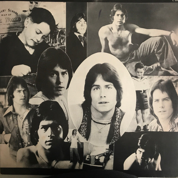 Ray Burgess : Not So Pretty (LP, Album)