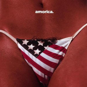 The Black Crowes : Amorica (CD, Album)