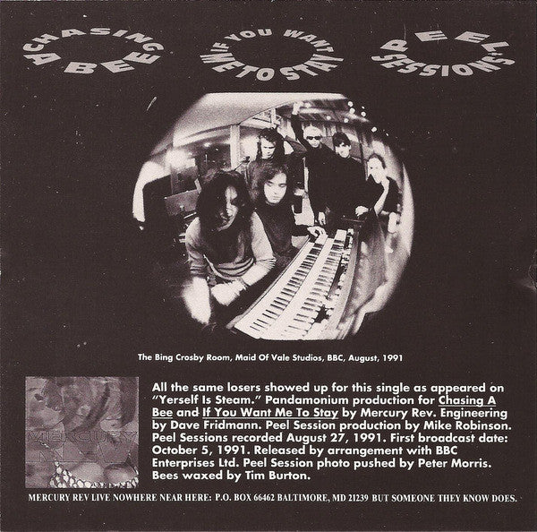 Mercury Rev : Chasing A Bee (CD, Single)