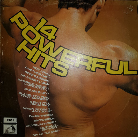 Unknown Artist : 14 Powerful Hits (LP, Comp)