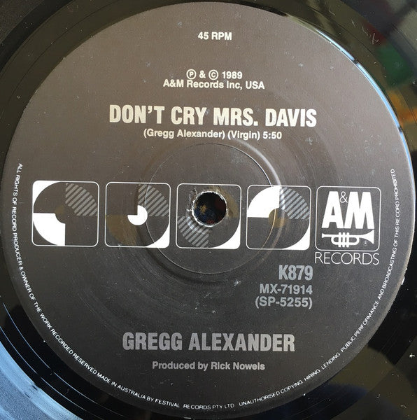 Gregg Alexander : In The Neighborhood (7", Single)