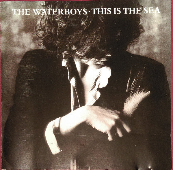 The Waterboys : This Is The Sea (CD, Album, RE, EMI)