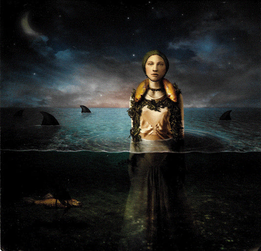 The Bled : Found In The Flood (CD, Album)