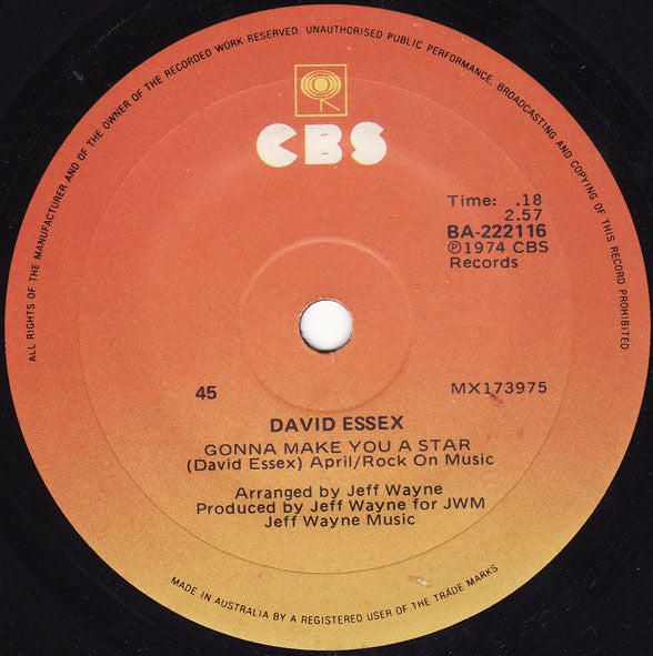 David Essex : Gonna Make You A Star (7", Single)