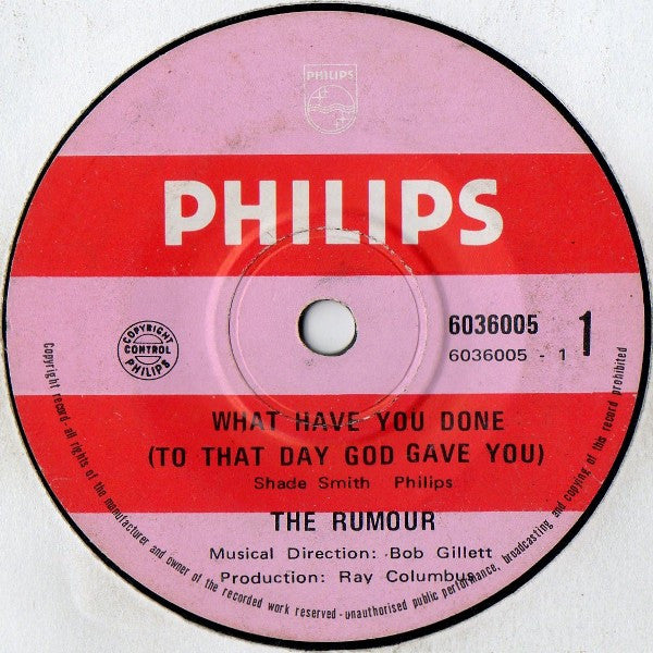 The Rumour (2) : What Have You Done (To That Day God Gave You) (7", Single)