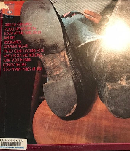 Al Morrison (2) : Look At The State I'm In (LP, Album, Gat)