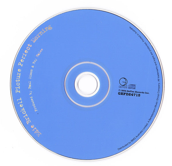 Edie Brickell : Picture Perfect Morning (CD, Album)