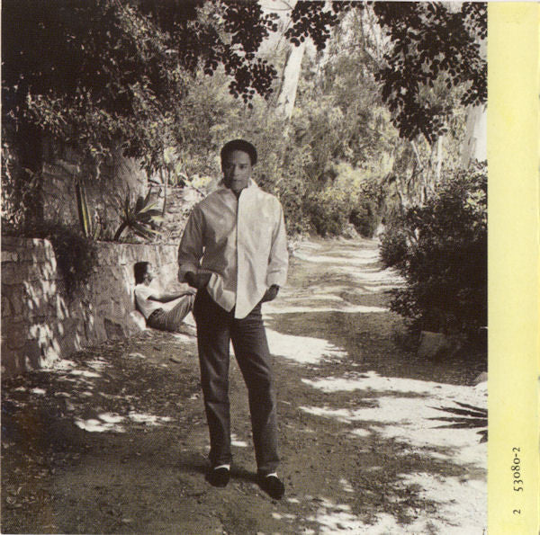Al Jarreau : L Is For Lover (CD, Album, Pol)