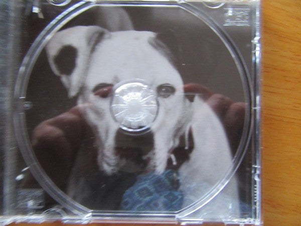 Various : Wonder Boys - Music From The Motion Picture (CD, Comp)