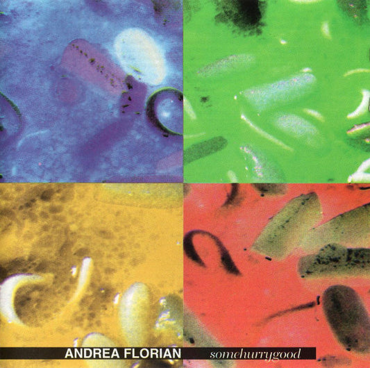 Andrea Florian : Somehurrygood (CD, Enh)