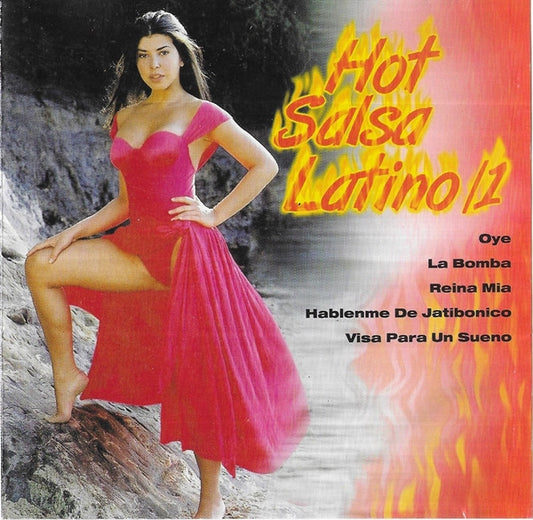 Grupo Ramirez : Hot Salsa Latino /1 (CD, Comp)