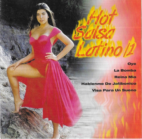 Grupo Ramirez : Hot Salsa Latino /1 (CD, Comp)