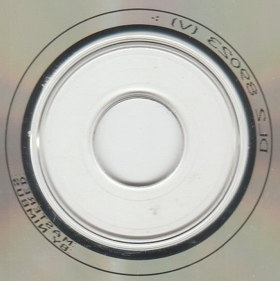 Brian Ritchie : I See A Noise (CD, Album)