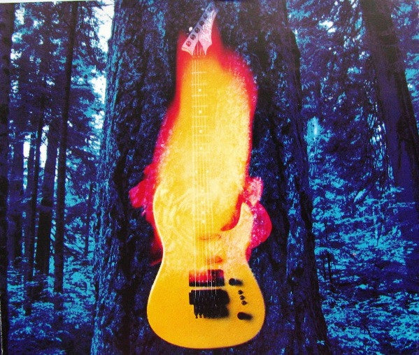 Heart : Desire Walks On (CD, Album)