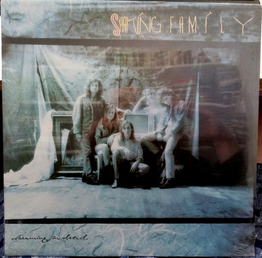 Shaking Family : Dreaming In Detail (LP, Album)