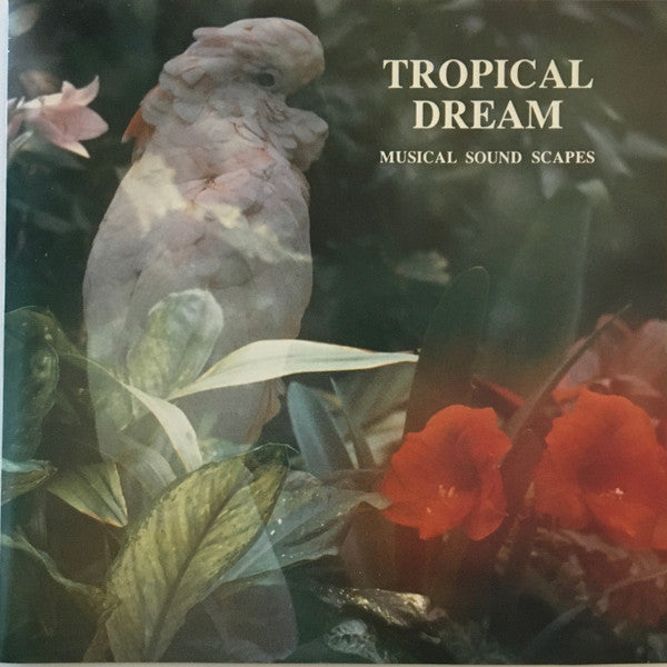 Jonas Kvarnström & Stefan Schramm : Tropical Dream (CD, Album)
