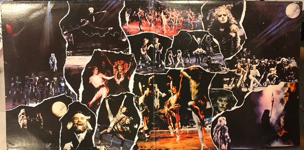 Andrew Lloyd Webber : Cats (2xLP, Gat)