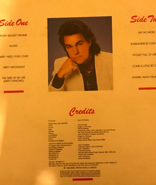 John Rowles : In My Wildest Dreams  (LP, Album)
