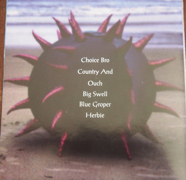 Baecastuff : Big Swell (CD, Album)