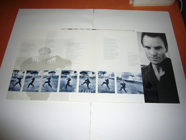 Sting : The Dream Of The Blue Turtles (LP, Album)
