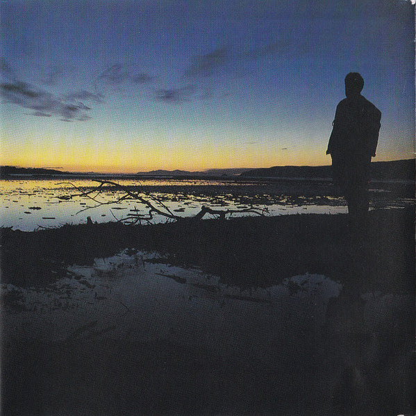Sally Trethewey : The Perfect View (CD, Album)