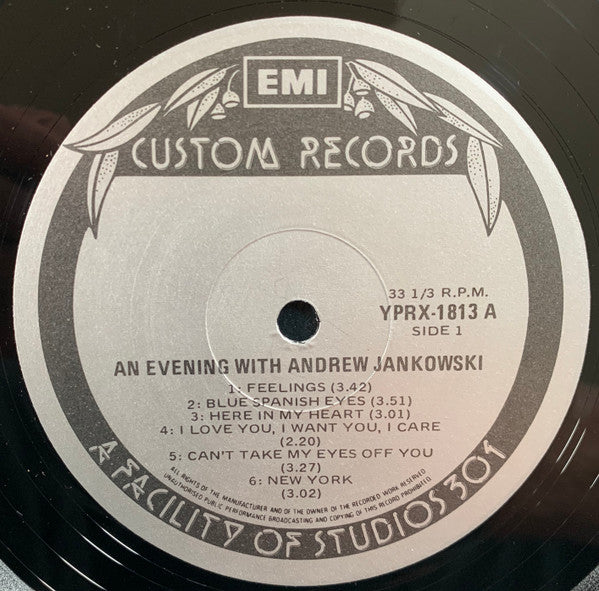 Andrew Jankowski : An Evening With Andrew Jankowski (LP, Album)
