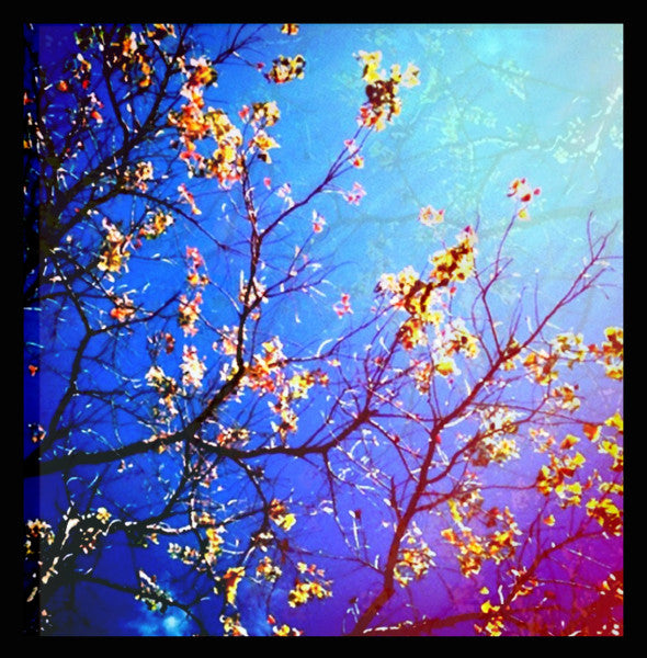 Diger Rokwell : Build My (CD, EP, Ltd)