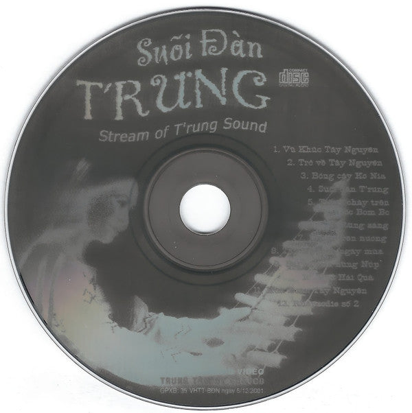 Hoa Đăng : Suối Đàn T'rưng = Stream Of T'rung Sound (CD)