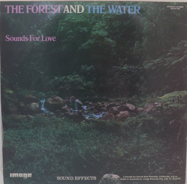 Brad Miller : The Storm, The Sea, The Forest & The Water (LP, Comp)