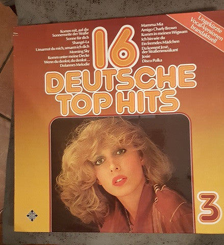 Unknown Artist : 16 Deutsche Top Hits 3 (LP, Comp)