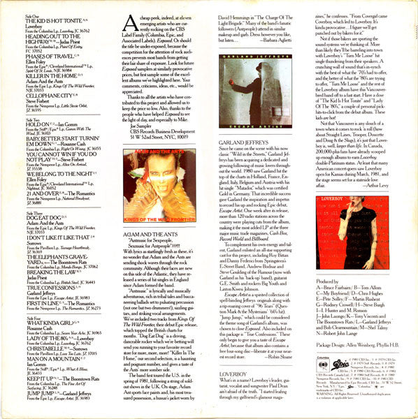 Various : Exposed: A Cheap Peek At Today's Provocative New Rock (2xLP, Comp, Smplr, Pit)