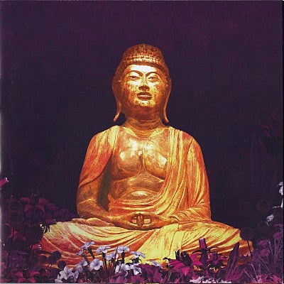 Ravin : Buddha-Bar IX (2xCD, Comp, Mixed, Cla)