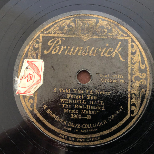 Wendell Hall : Will You Remember (What I Can't Forget) / I Told You I'd Never Forget You (Shellac, 10")