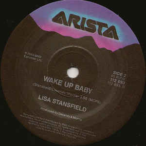 Lisa Stansfield : All Around The World (7", Single)