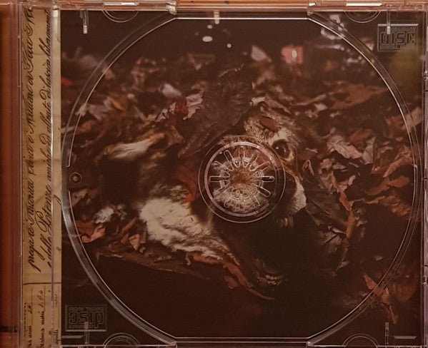3 Doors Down : Seventeen Days (CD, Album)