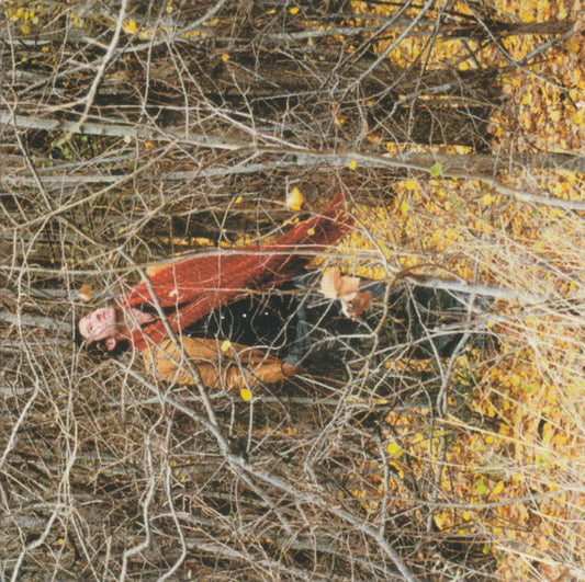 Paul Greene : This Way (CD, Album)