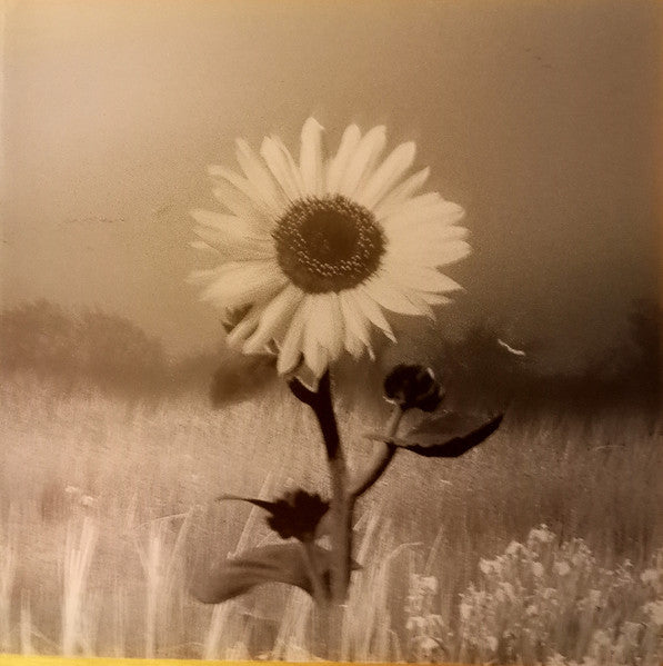 Unknown Artist : Natural Dreams - Music For Relaxation: Morning Sunrise (CD, Album)