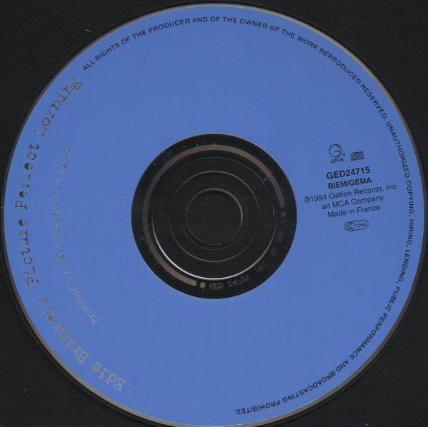 Edie Brickell : Picture Perfect Morning (CD, Album)