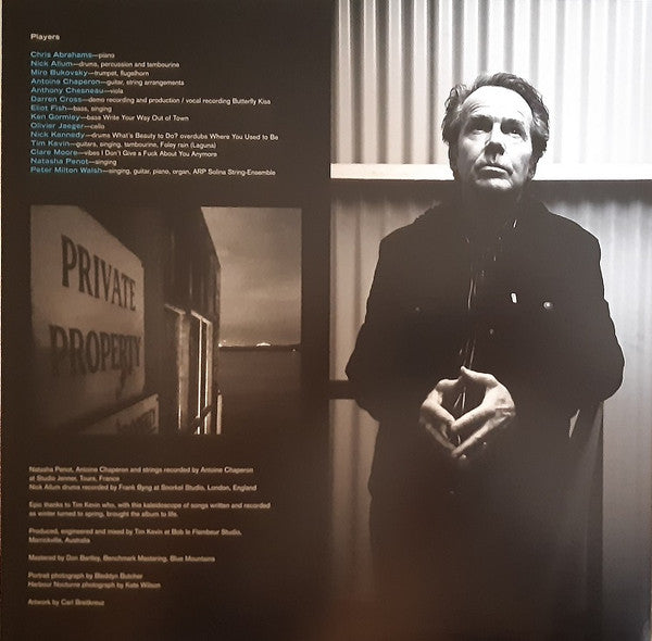 The Apartments : In And Out Of The Light (LP, Album)