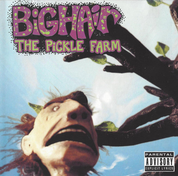 Big Hair (3) : The Pickle Farm (CD, Album)