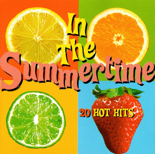 Various : In The Summertime (20 Hot Hits) (CD, Comp)