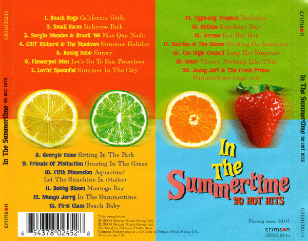 Various : In The Summertime (20 Hot Hits) (CD, Comp)