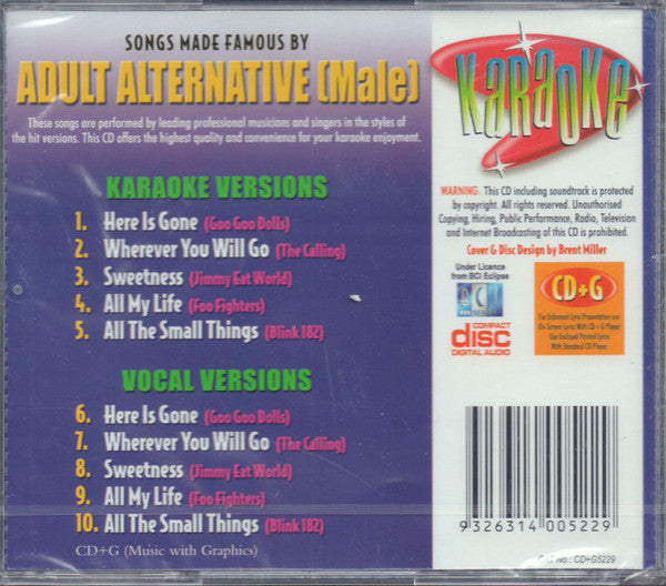 Unknown Artist : Karaoke Songs Made Famous By Adult Alternative (Male) (CD, Album)
