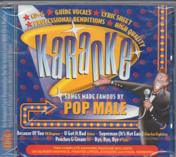 Unknown Artist : Karaoke Songs Made Famous By Pop Male (CD, Album)
