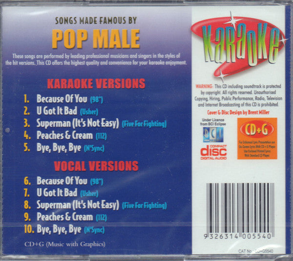 Unknown Artist : Karaoke Songs Made Famous By Pop Male (CD, Album)