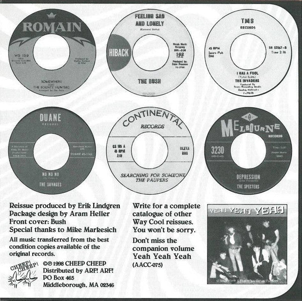 Various : No No No (28 Moody, Somber And Tragic '60s Garage Rock Sagas) (CD, Comp)