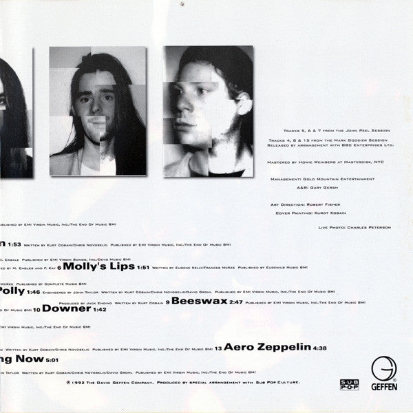 Nirvana : Incesticide (CD, Comp)