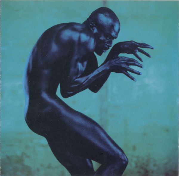 Seal : Human Being (CD, Album)