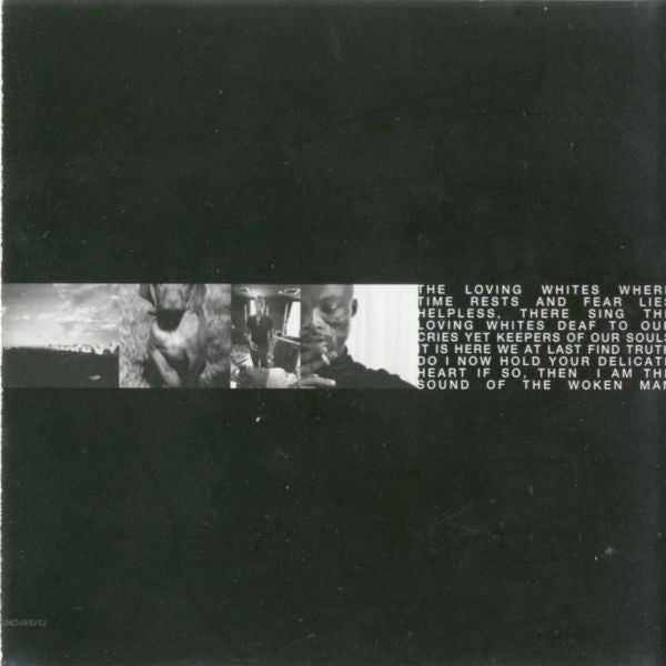 Seal : Human Being (CD, Album)